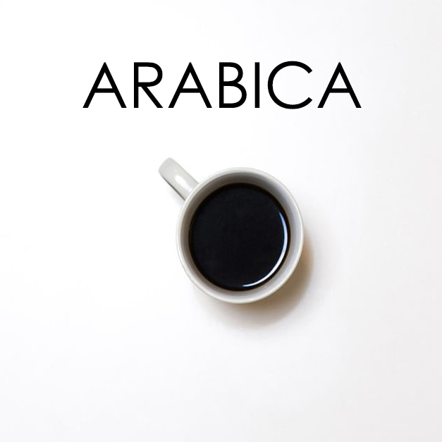 arabika arabika