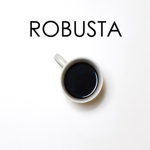 robusta robusta